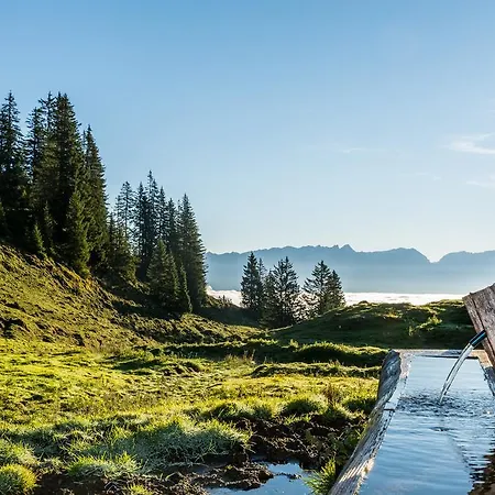 Haus Pichler * Leogang
