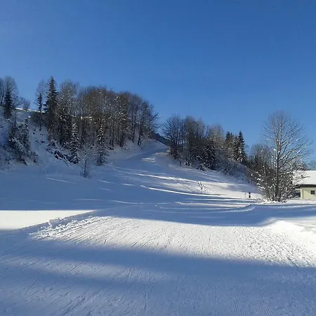 Haus Pichler Apartmán Leogang