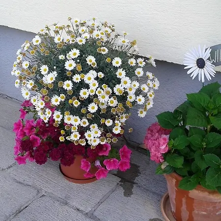 Haus Pichler Leogang