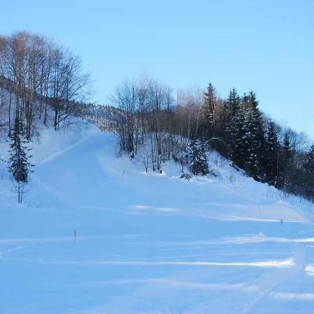 Apartmán Haus Pichler Leogang