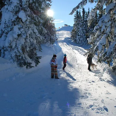 Apartment Haus Pichler