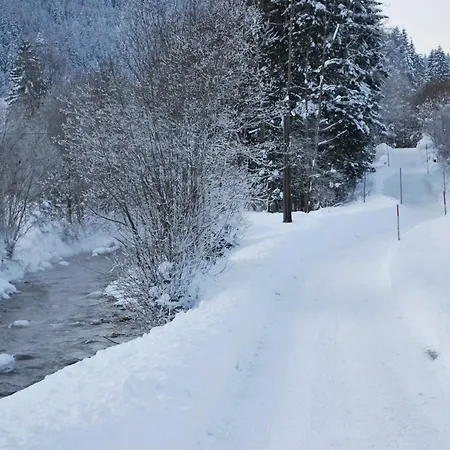 Haus Pichler Leogang
