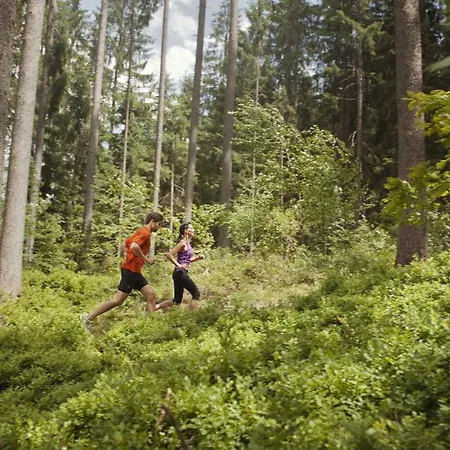 Haus Pichler Leogang