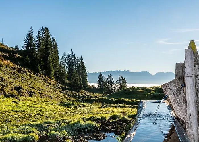 Haus Pichler * Leogang