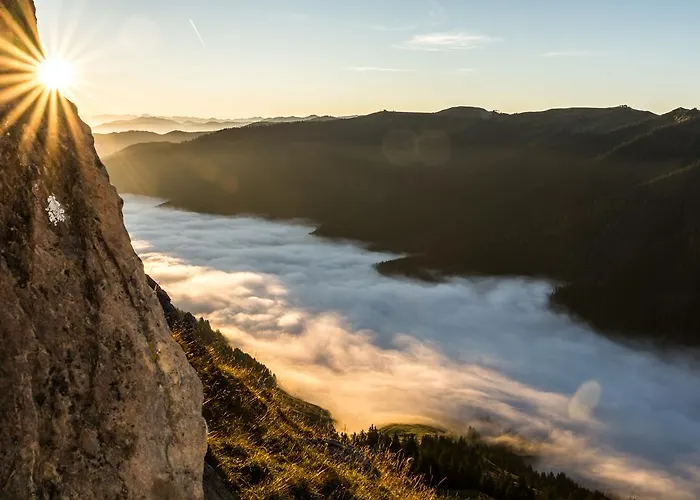 Haus Pichler 아파트