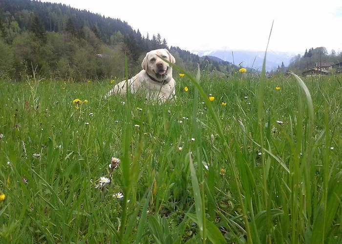 Apartman Haus Pichler