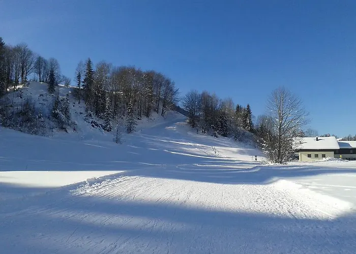 Haus Pichler Apartman Leogang