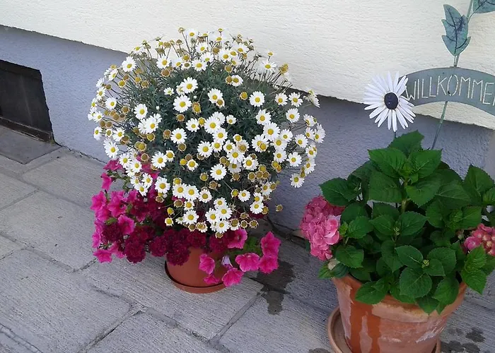 Haus Pichler Leogang