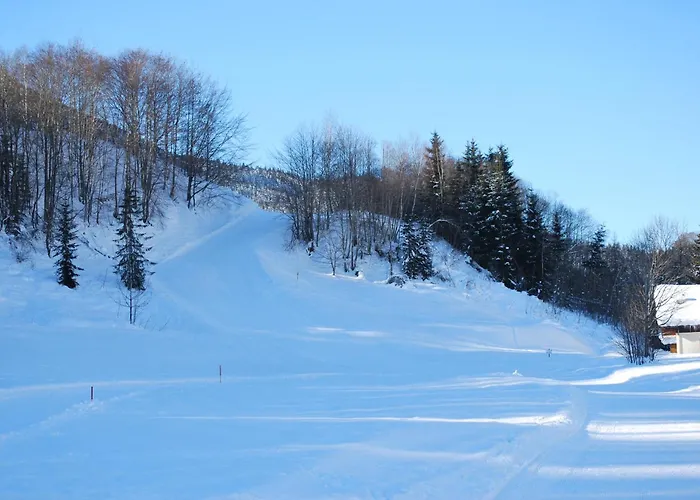Apartman Haus Pichler Leogang