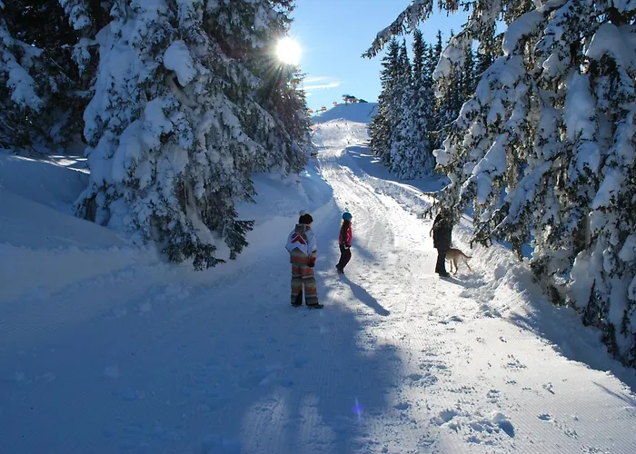 Apartman Haus Pichler