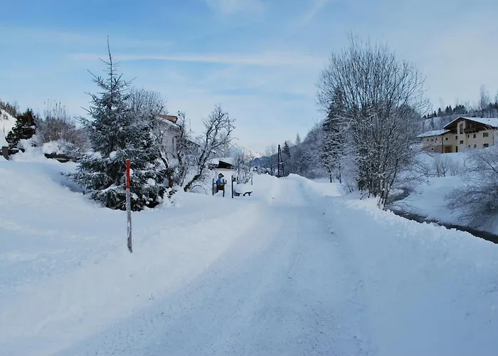 Apartman Haus Pichler Leogang