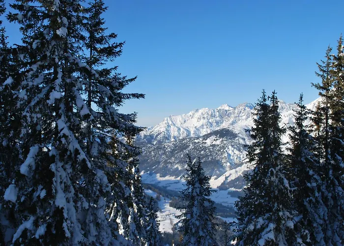 Apartman Haus Pichler Leogang