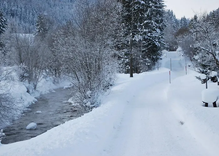 Haus Pichler Leogang