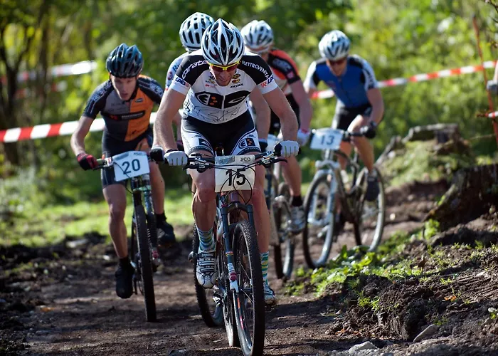 Haus Pichler Apartman *