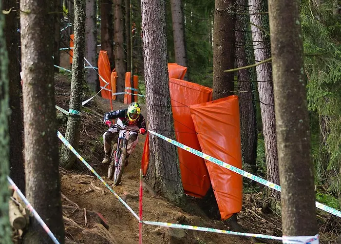 Haus Pichler Leogang