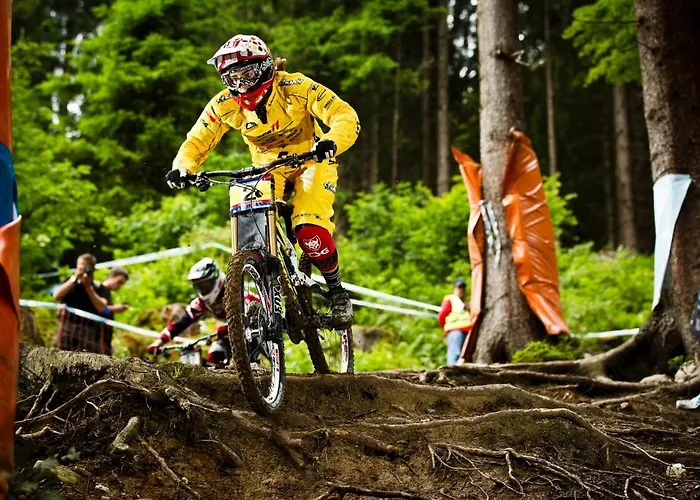 Apartman Haus Pichler Leogang