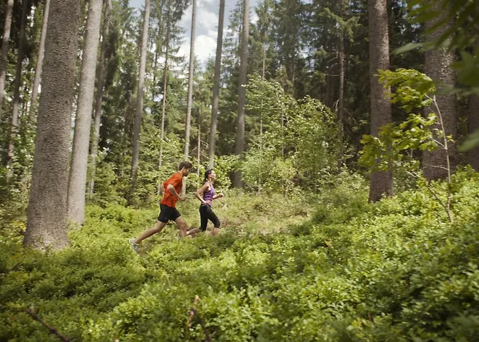Haus Pichler Leogang